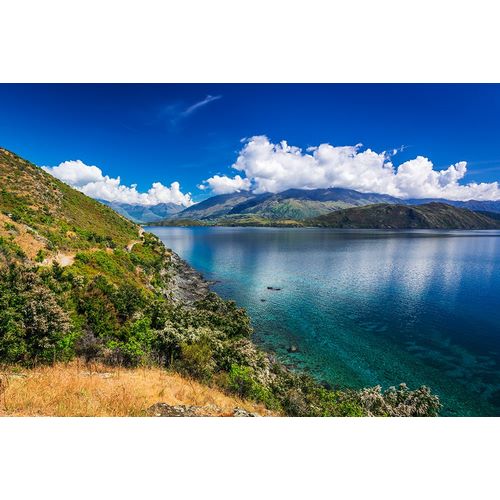 Bishop, Russ 아티스트의 Cycling the shore of Lake Wanaka-Otago-South Island-New Zealand작품입니다.